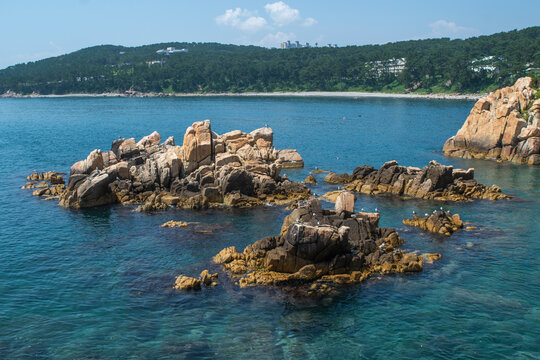 울산 대왕암공원과 해안 둘레길, Ulsan Daewangam Park and coastal trail
