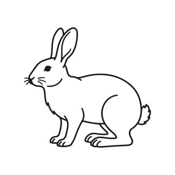 Black side lineout of a rabbit isolated on white background.
