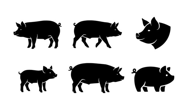 Pig silhouette icon set farm animal vector illustration