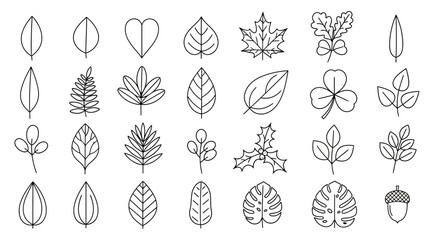 Various leaves and foliage illustrations are displayed in a collection. © Pata