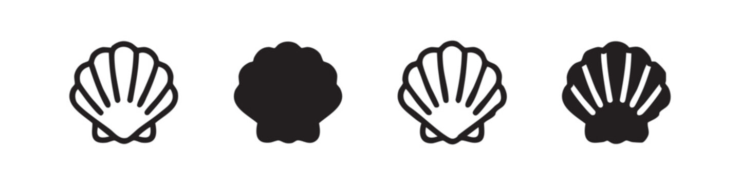 Four seashell icons in outline and solid black variations