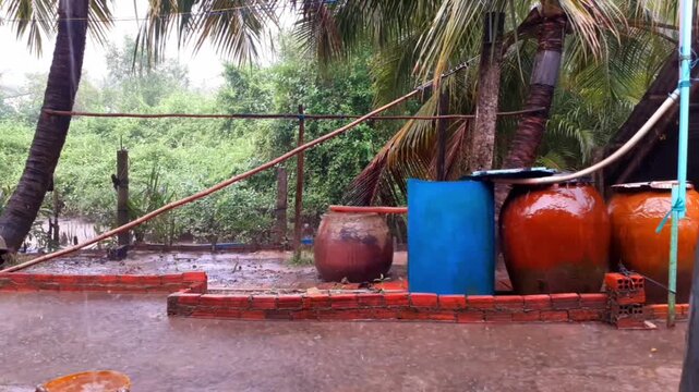 Light Rain with Wind Over Coconut Trees Static Shot p2