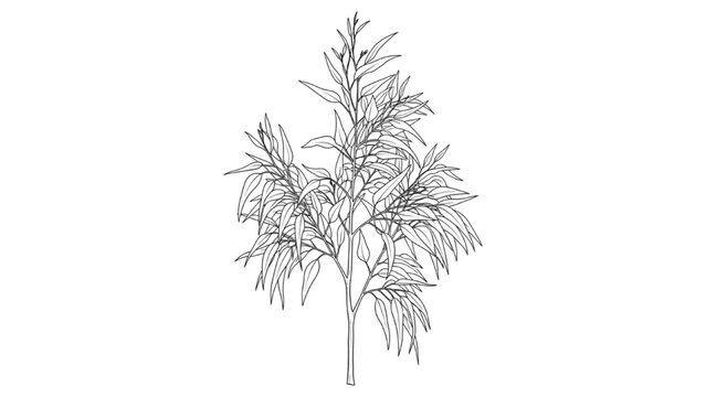2D AutoCAD drawing of a tree with leaves and branches