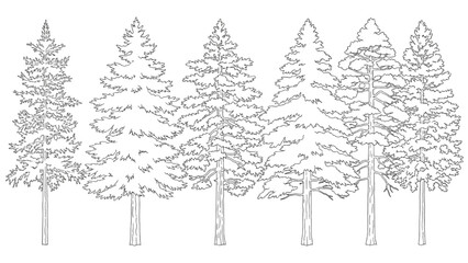 Illustration of various trees created using 2D AutoCAD software © Stock Image Paradise