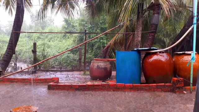 Light Rain with Wind Over Coconut Trees Static Shot p3
