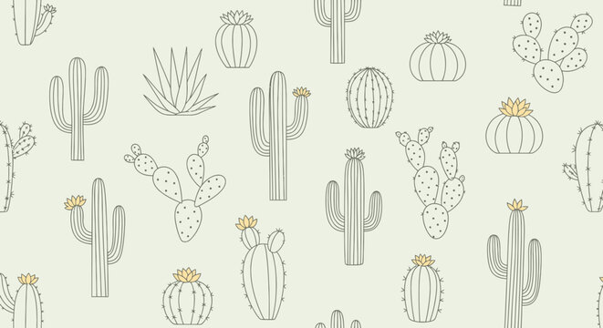 Cactus plants in various shapes sizes.