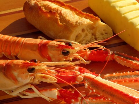 langoustines