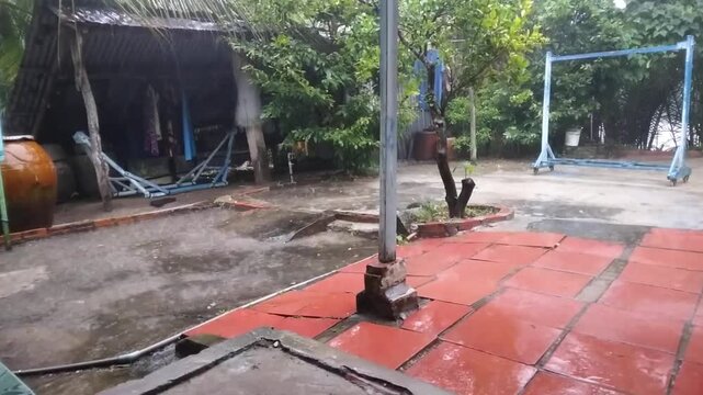 Light Rain with Wind Over Coconut Trees Static Shot p5