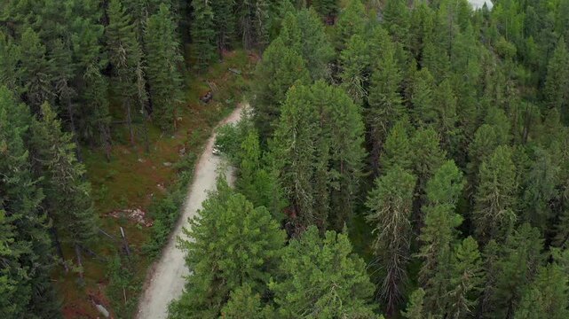 Aerial view of car driving along winding forest road in Katon Karagay national park, East Kazakhstan. Scenic Altai mountains, dense taiga landscape, remote travel and adventure destination.