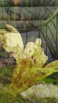 Vertical video: Big yellow flower petals moving as camera pulling showing nursery for calm mood