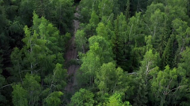 Aerial shot of lone car disappearing into deep forest along narrow hidden track. Secluded wilderness escape, solitude, off-grid travel experience and connection with untouched nature.