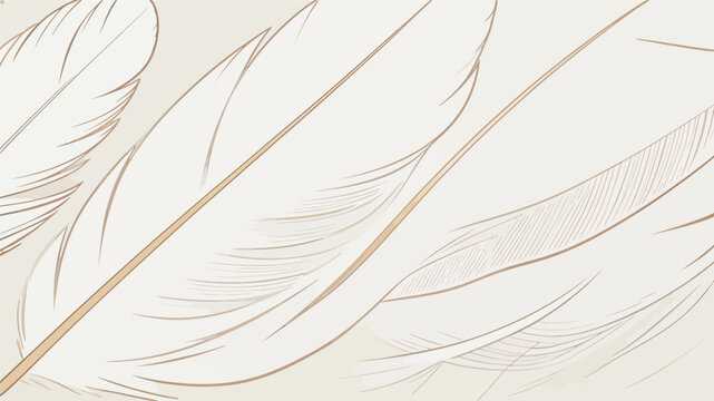 Hand drawn gentle white feather line art illustration