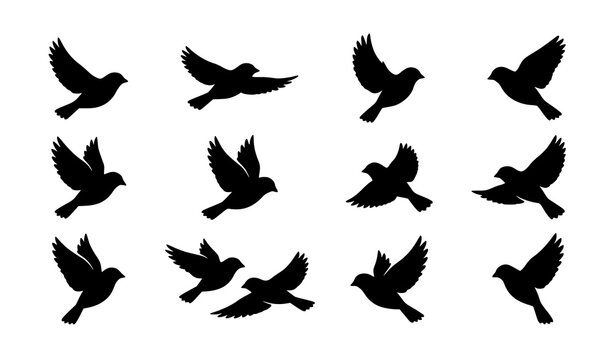 Sparrow bird flying silhouette soaring wings vector illustration isolated on white background