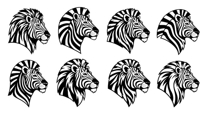 Zebra heads illustration set with black and white stripes and various angles featuring wildlife, nature, vector with graphic and art elements for