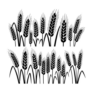 Wheat sheaves pattern in monochrome hand-drawn style, sketchy grain illustration for background, packaging and signage
