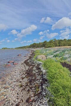 Landscape with a stony beach with low-growing coastal vegetation typical of the Baltic Sea region in summer with clouds in the sky, Abula, Saaremaa, Estonia, Europe.