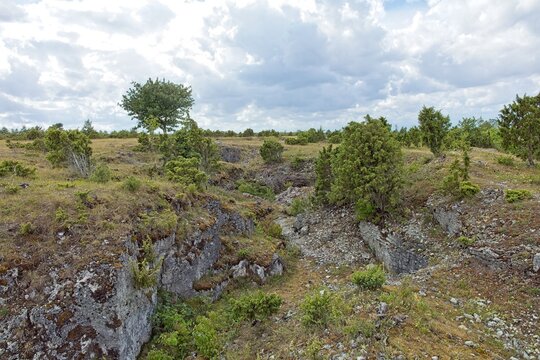 Scenic coastal cliff landscape at &Uuml;&uuml;gu Bluff (&Uuml;&uuml;gu pank) on the island of Muhu in cloudy summer weather, Estonia, Europe.