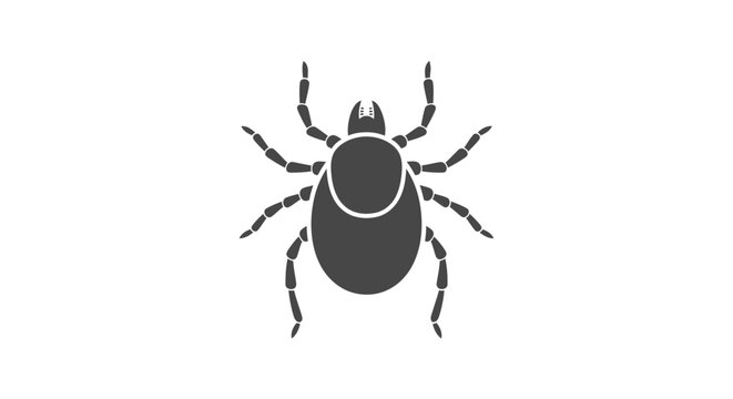 Isolated vector illustration of a tick against a white background for design