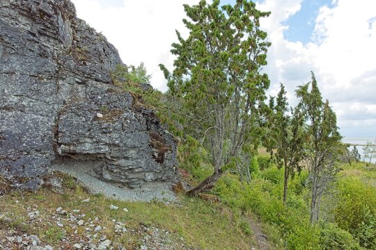 Scenic coastal cliff landscape at &Uuml;&uuml;gu Bluff (&Uuml;&uuml;gu pank) on the island of Muhu in cloudy summer weather, Estonia, Europe.