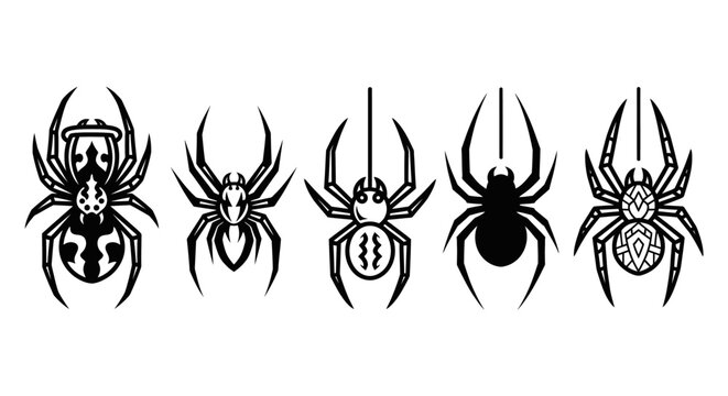 Black and white spider illustrations set for design or educational projects