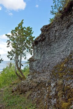 Scenic coastal cliff landscape at &Uuml;&uuml;gu Bluff (&Uuml;&uuml;gu pank) on the island of Muhu in cloudy summer weather, Estonia, Europe.