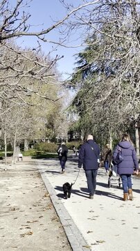 Tr&aacute;nsito y movimiento de personas en parque con ambiente y trasiego dando una vuelta y paseando al perro entre &aacute;rboles al aire libre