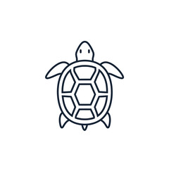 Obraz premium cute hand-drawn turtle mascot with hexagonal shell vector illustration