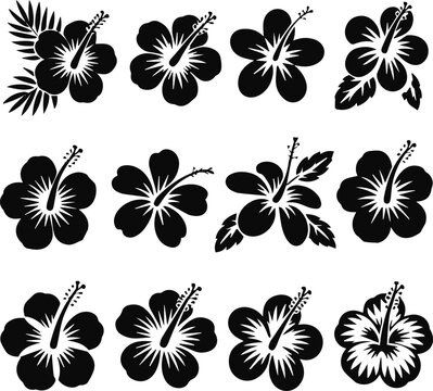 Hibiscus and palm leaf logo elements pack