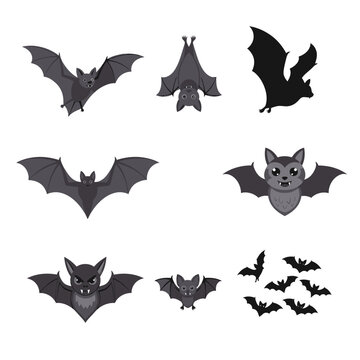 Cartoon bats in various poses against white background for halloween designs
