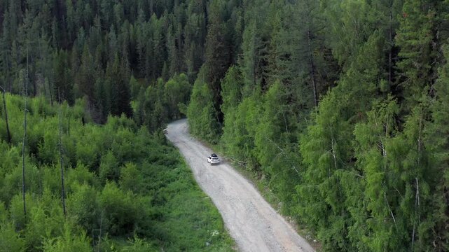 Aerial view of car driving along winding dirt road through dense green conifer forest in Katon Karagay national park, East Kazakhstan. Remote travel route, pristine wilderness and scenic nature.