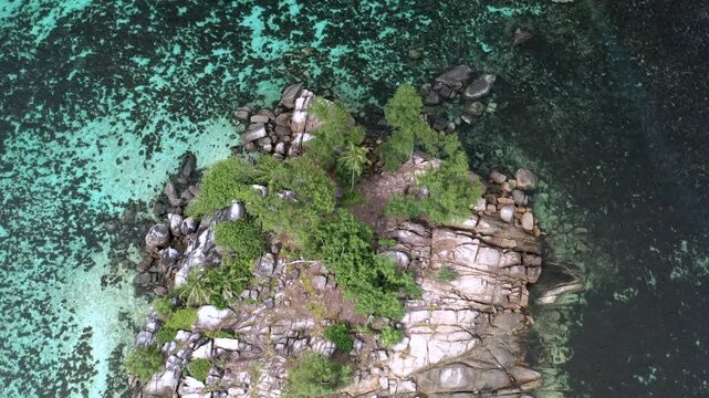 Aerial top-down drone shot looking straight down at a compact rocky granite islet covered with sparse trees, completely surrounded by vivid turquoise water and shallow coral reef in the Seychelles.
