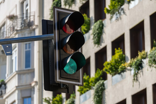 Close-up of green traffic light on urban street with modern residential building and plants in background