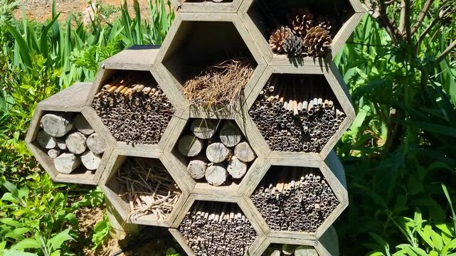 Close up of wooden insect hotel built in a honeycomb style on Kassandra, Greece, surrounded by lush greenery on a sunny spring day, highlighting biodiversity, pollinators, and habitat conservation