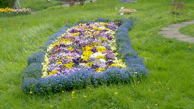 Decorative flower border in botanical garden spring floral design
