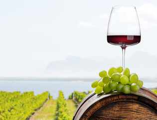 Naklejka premium Red wine glass with grapes vineyard background