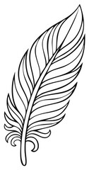Obraz premium Detailed Feather Outline for Coloring Page or Design Element
