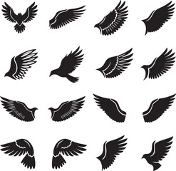 Obraz premium Collection of stylized bird wings in various forms with silhouette feathers isolated ornithology illustration collection