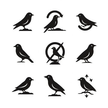 Set of black bird silhouettes and icons featuring different species and abstract symbols on a white background, silhouette