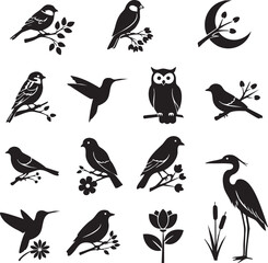 Fototapeta premium Diverse collection of bird illustrations including owl hummingbird heron with illustration hummingbird wildlife ornithology