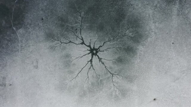 Aerial footage slowly zooming over a frozen lake surface with a natural crack pattern resembling branching lines. Minimalist winter texture with abstract shapes formed in ice.