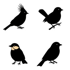 Obraz premium Set of four black bird silhouettes with one species variation silhouette wildlife isolated ornithology illustration