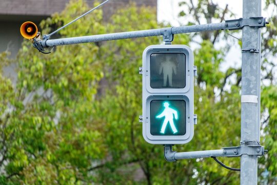 歩行者信号」の写真素材 | 91,539件の無料イラスト画像 | Adobe Stock