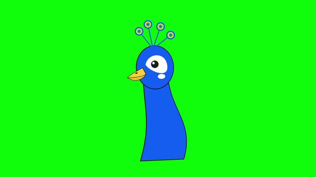 Cartoon Blue Peacock Head Animation on Green Screen. 4K Video