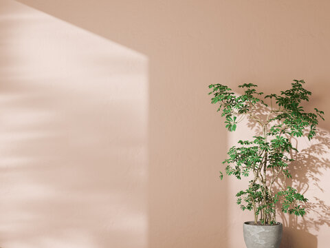 Peach wall background with a green potted plant and soft window shadows for video calls.