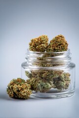 Obraz premium Buds of medical marijuana sit in a clear glass container with additional buds on a surface. The scene is well lit, highlighting the details of the buds