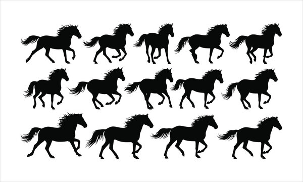 Collection of horse silhouettes in motion with black and white dise o colecci n silhouette