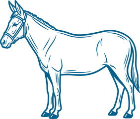 Obraz premium Standing donkey figure in clean blue line art vector can Editable