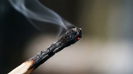 Obraz premium Macro blown out match grey smoke