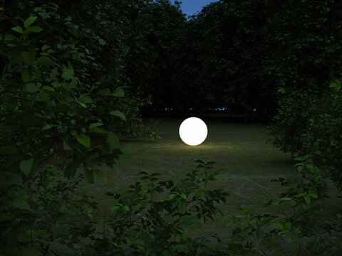 Glowing white sphere in dark forest clearing at night