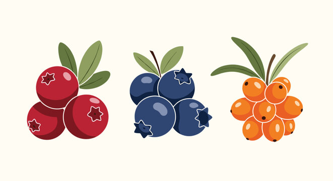 Collection of colorful forest berries including red cranberries, blue blueberries, and orange sea buckthorn berries with green leaves.